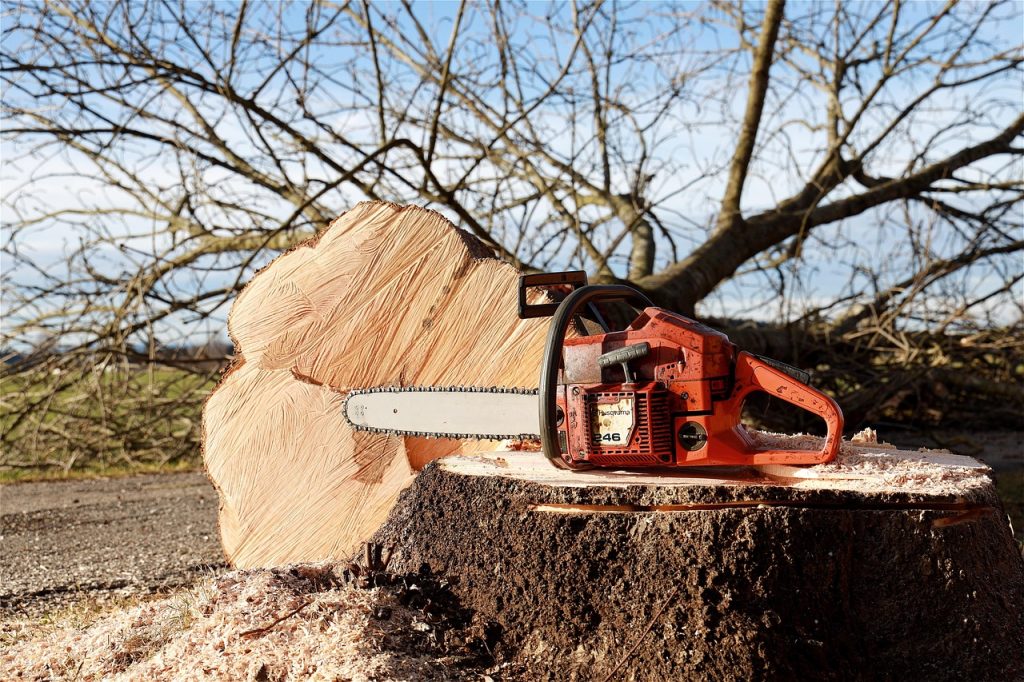 a chainsaw on the stump of a tree